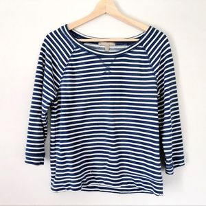 Banana Republic Striped Blue and White Sweater